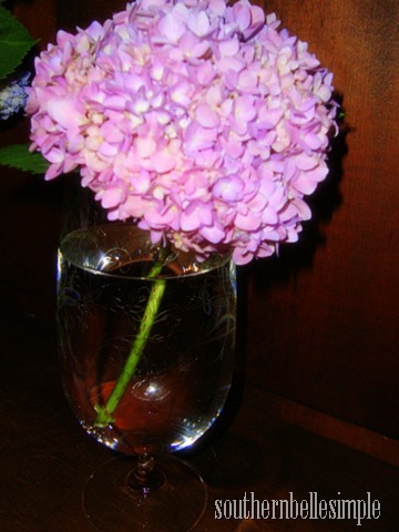 [DSC0082214.jpg]