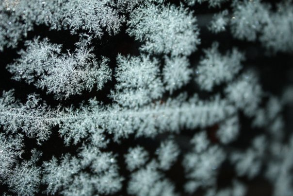 [frost on windows[7].jpg]