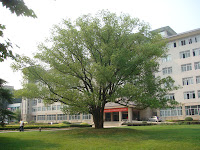 DSC00704.JPG