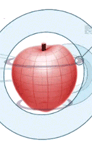 [image[48].png]