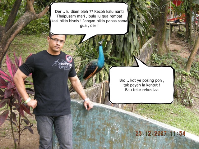 [merak[4].jpg]