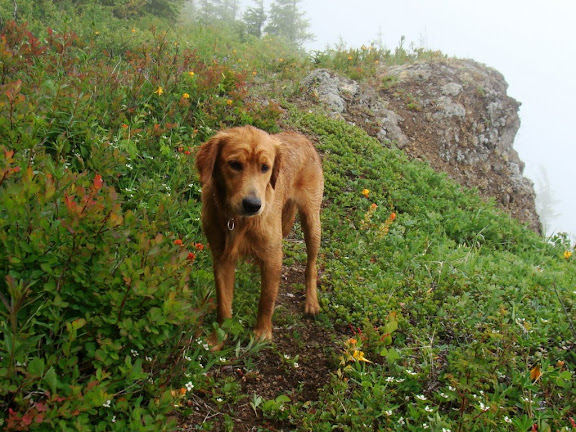 Copper on the Ridge