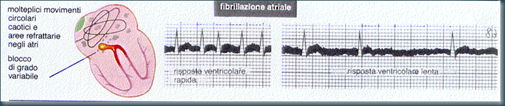 Immagine1 Immagine1