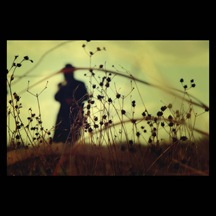 winter__s_dregs_by_Melissanthi