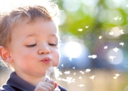 [2637_child[8].jpg]