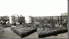 Roof Garden atop 55 Broadway