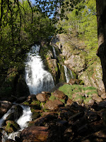 20110430_03.JPG Photo