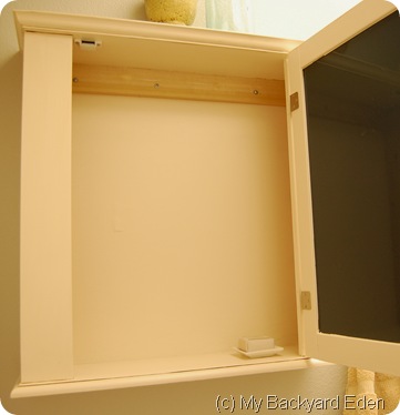 Medicine Cabinet Storage