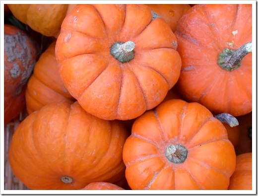 Baby Pumpkins