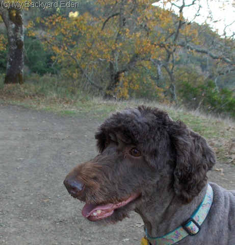 [thanksgiving hike 096[7].jpg]