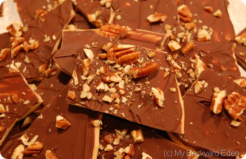 toffee with pecans