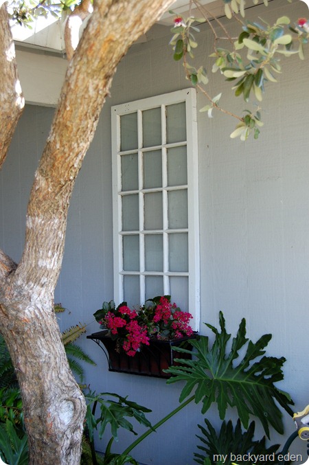 Old Window - New Life