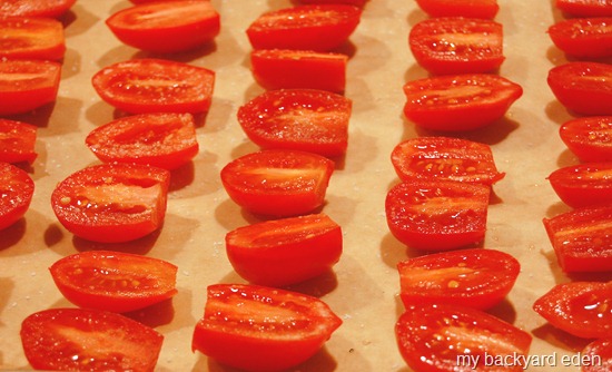 Sun Dried or Oven Dried Tomatoes 