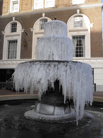 [SouthCarolina_Jan2010 036[4].jpg]