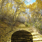 Replicating my view through a really cool aspen grove.  I think I found a good future camping spot.