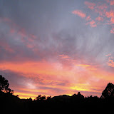 IMG_2235.JPG