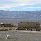IMG_2470.JPG