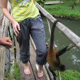 Panama 093.JPG