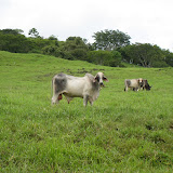 Panama 088.JPG