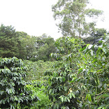 Panama 113.JPG