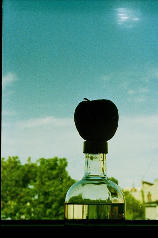 [0002210.jpg]