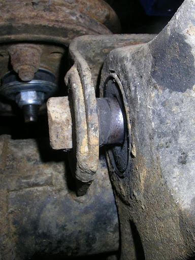 [Image: Pusla.JPG]