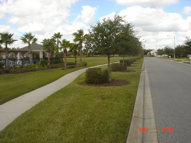 Palm Cove in Wesley Chapel Florida