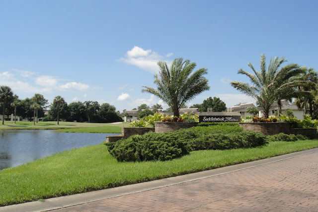 Wesley Chapel Golf homes