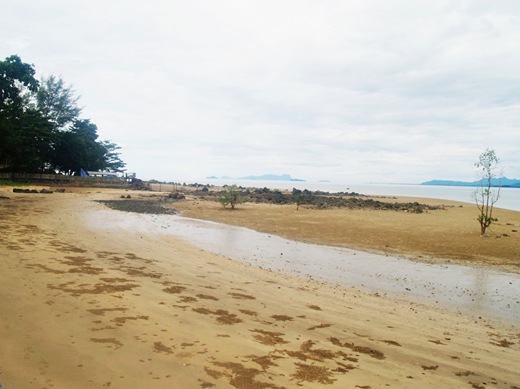 P1014328