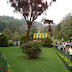 DSC00596.JPG