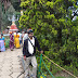 DSC01074.JPG