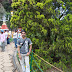 DSC01075.JPG