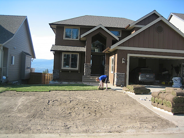 Laying sod