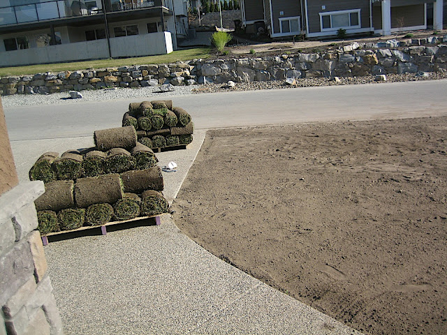 875 square feet of sod