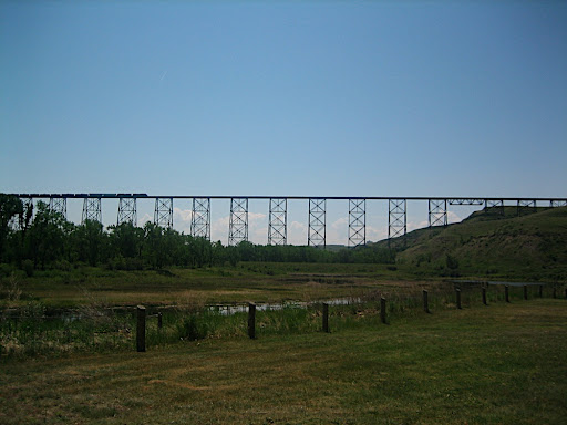 The train