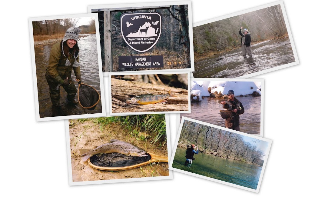 Picks for Winter Fly Fishing in Central Virginia