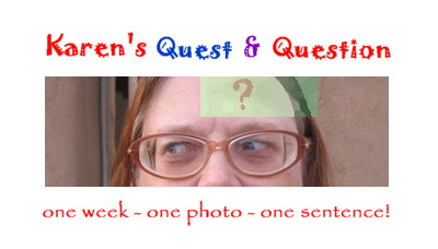 Karen's Quest and Question