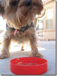 PeanutButter