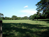 Finca 51 Hect Con Rebano Incluido 60 Animales Le