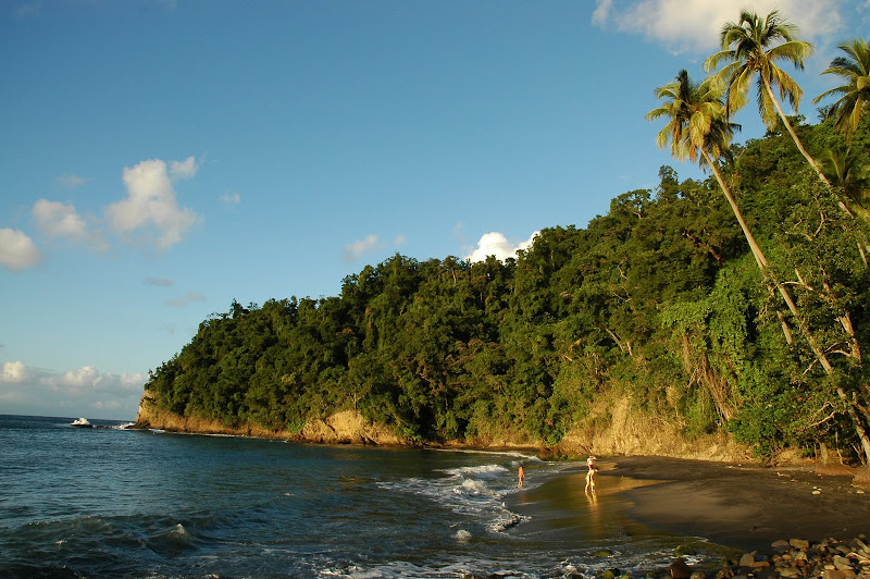 Encore l'Anse Couleuvre