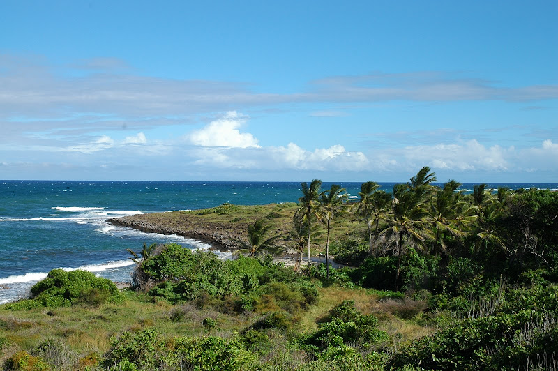DSC_7222.JPG