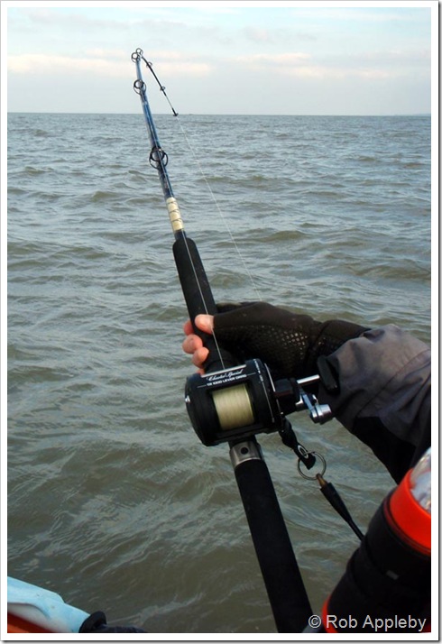   20lb boat road in action!       