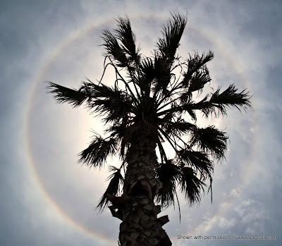 гало, малое гало на фоне пальмы