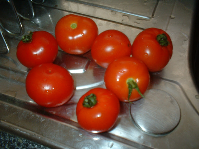 DSCF0001.JPG