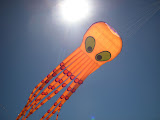 aštuonkojai su sky.jpg,