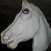 DSCN6444.JPG