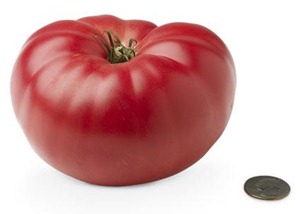 19-heirloom-tomato