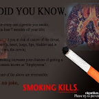 anti-smoking-1142