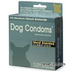 unusual_condoms_38