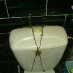 unusual_and_funny_toilets_53